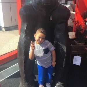 Meet your Posher, Judy